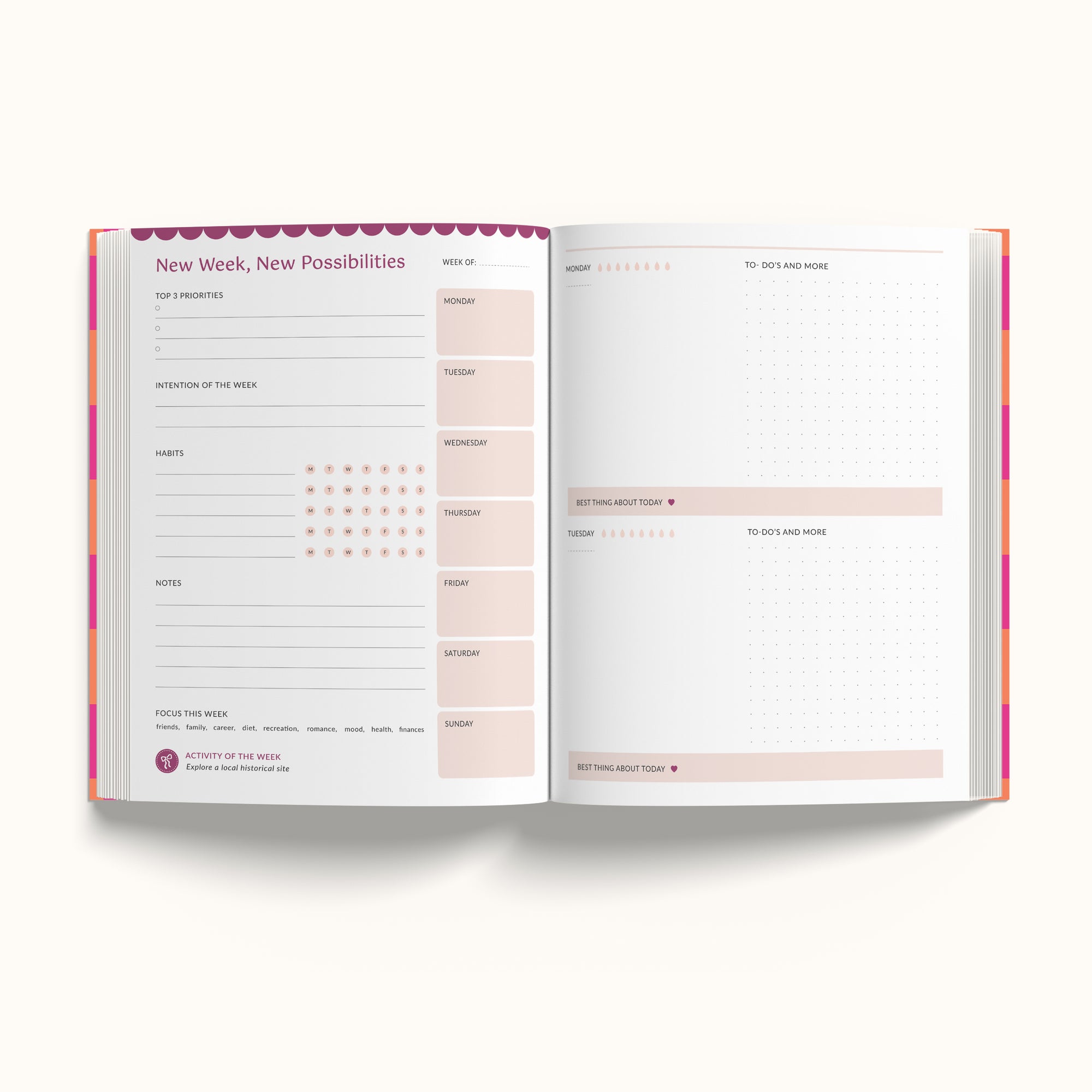 Annual Undated Planner - Create the Life of Your Dreams