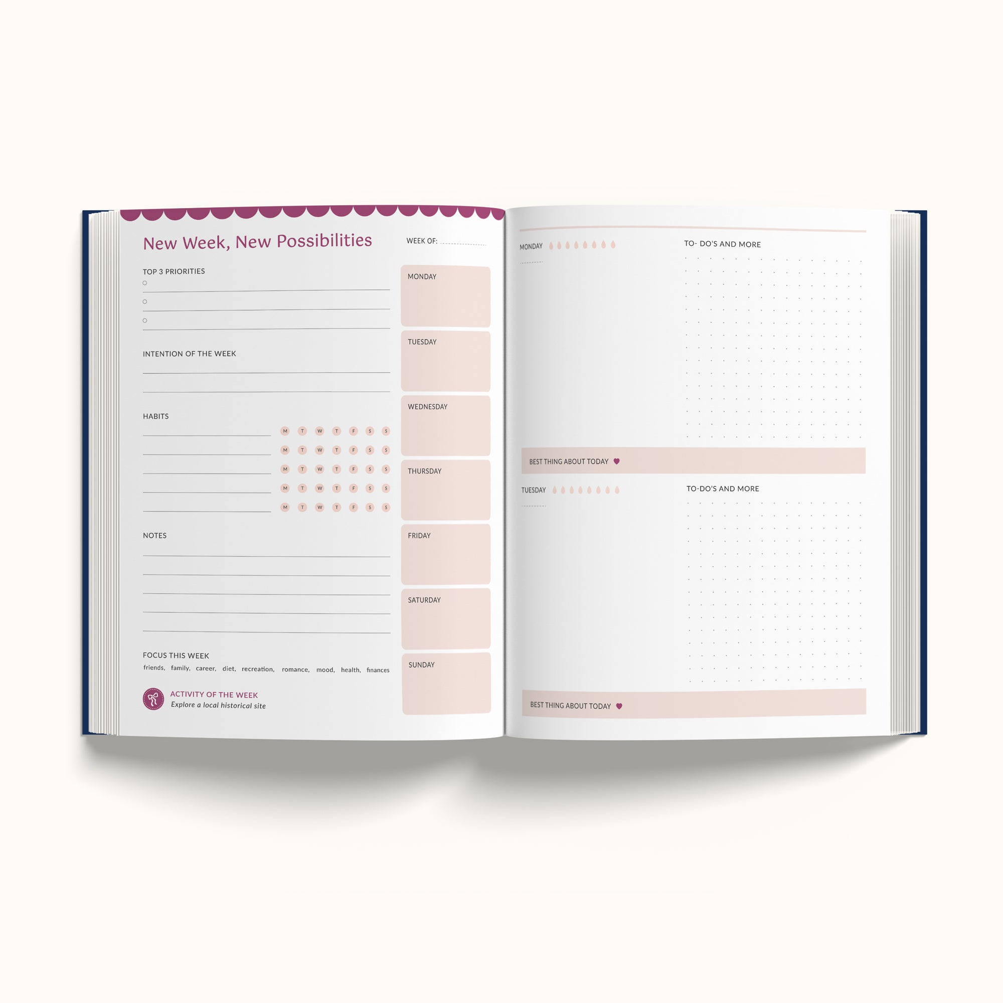 Annual Undated Planner - Make It Happen Blue