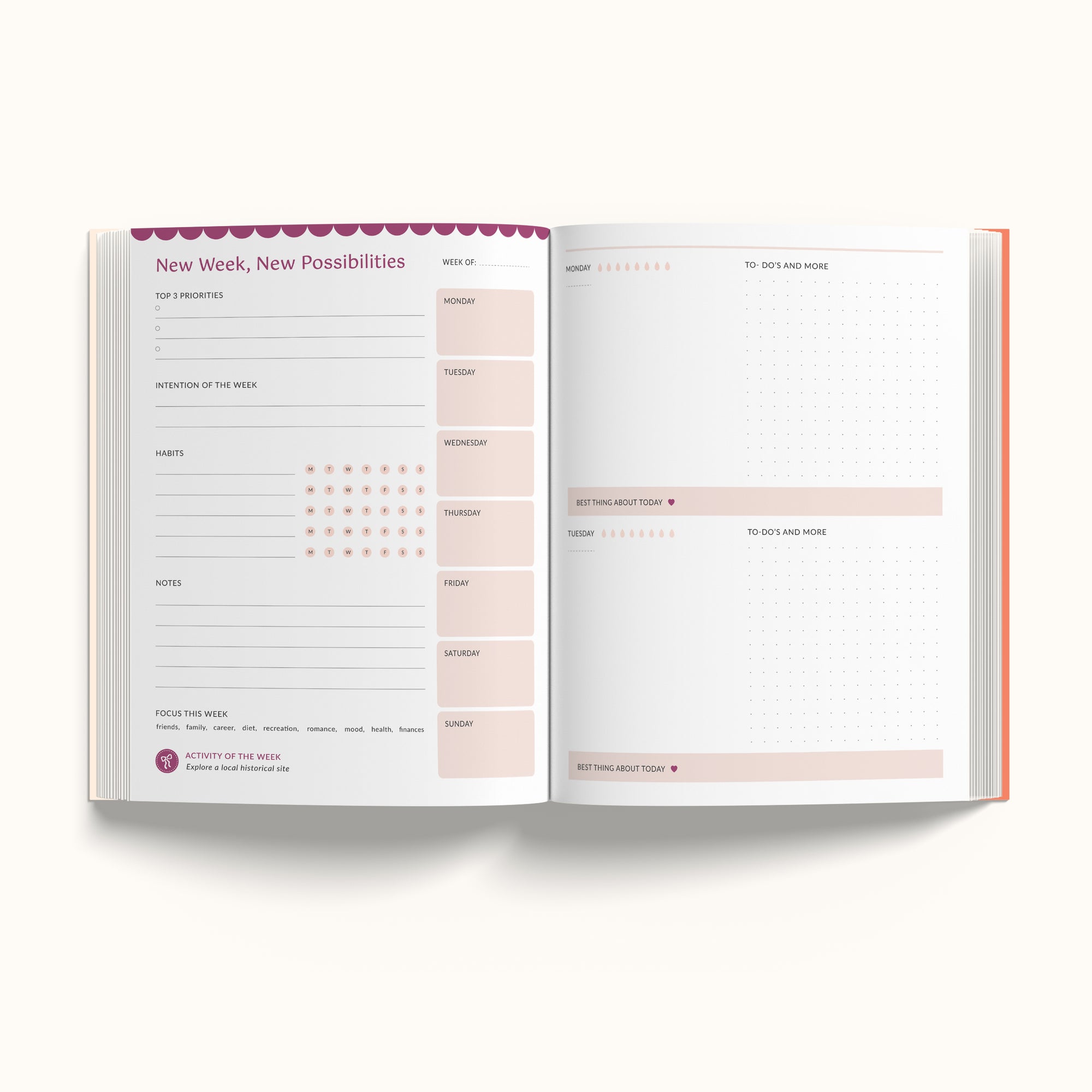 Annual Undated Planner - Make It Happen Peach