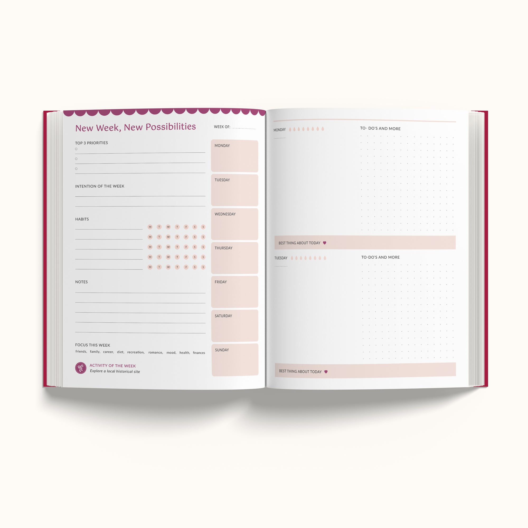 Annual Undated Planner - Write Your Own Story